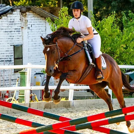 Villa Elisa 16, Emma *